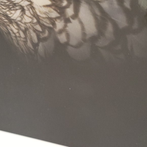 Chicken Hen Photo Farmhouse Picture 12" x 12" - Picture 3 of 3